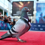 Famous Pigeon Fanciers