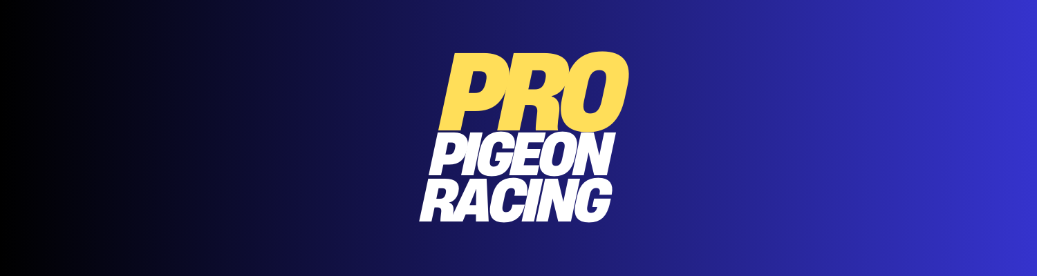 About Pro Pigeon Racing